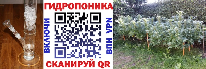 гидра зеркало  Болхов  Бошки Шишки сатива  цена  